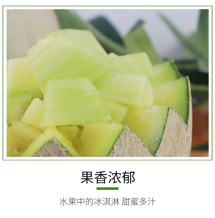 年货礼盒日本引种静网原箱口口蜜瓜玫珑瓜日本玖珑蜜瓜当季新鲜水果