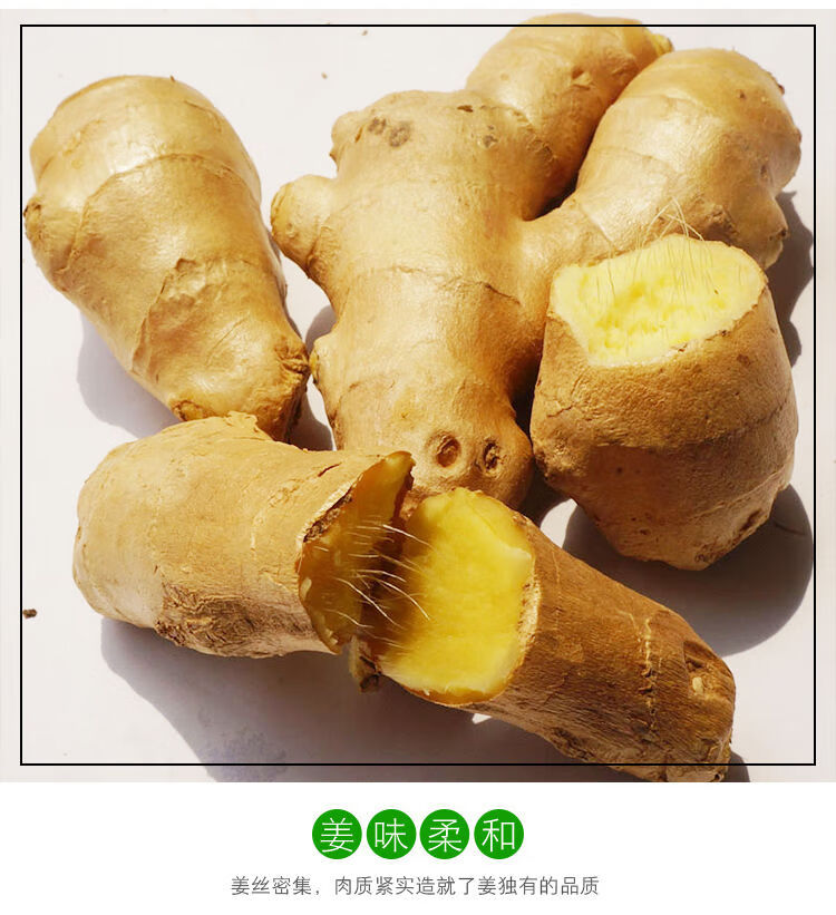 年货精选山东大姜大黄姜新鲜生姜老姜月子专用姜生姜批发现挖现卖1斤