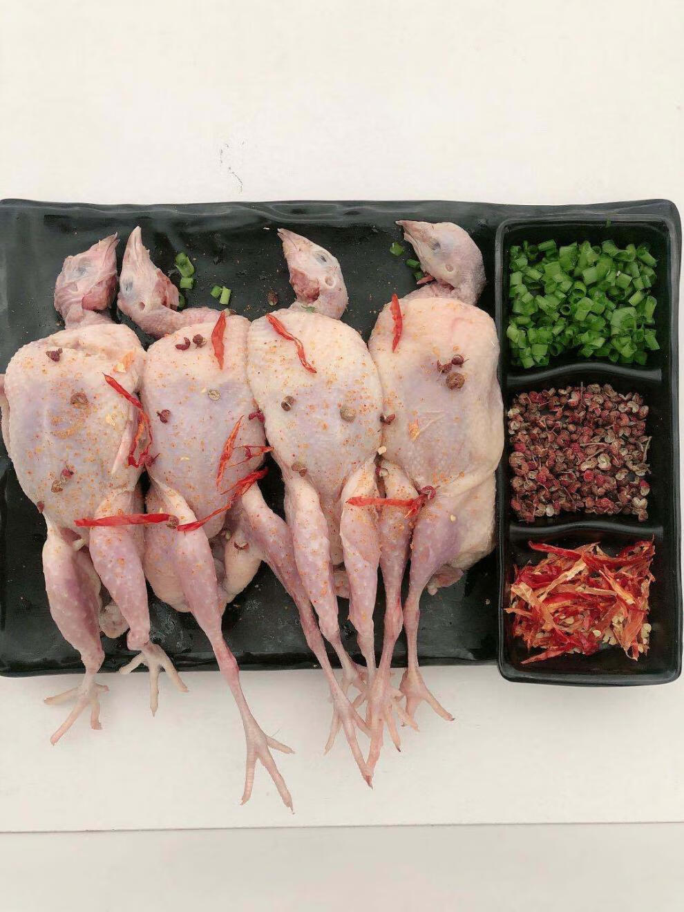 新鲜鹌鹑肉现杀母鹌鹑速冻白条烧烤油炸生鲜 欧林醉尔 精选特大号母