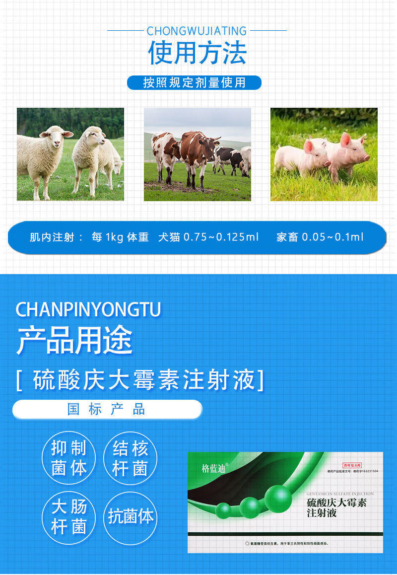 兽药庆大霉素注射液兽用庆大霉素针剂鱼用宠物猫狗兔口服拉稀肠炎