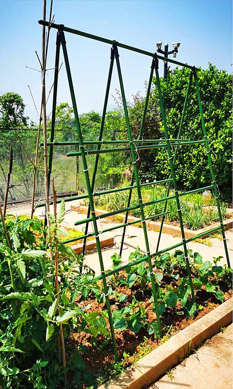 蔬菜爬腾架爬藤植物架子园艺花架花园阳台庭院黄瓜豆角葡萄架包塑钢管