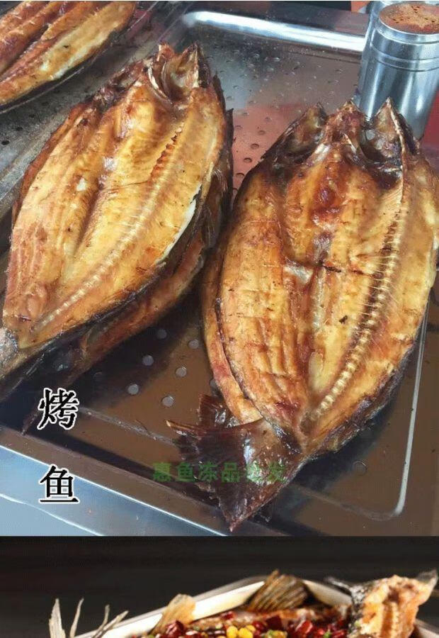 开背巴沙鱼整条新鲜清江冷冻骨湄公鱼烤鱼凌波鱼 900-1100g 16条装