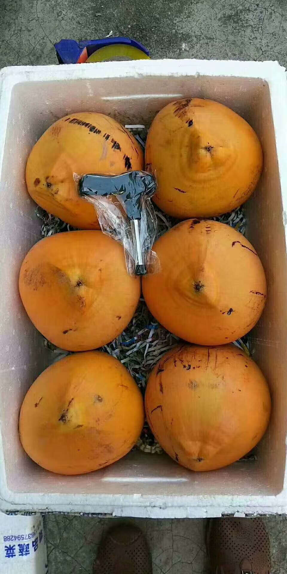 海南椰子金椰黄金椰子6个当季水果热带新鲜水果9个装