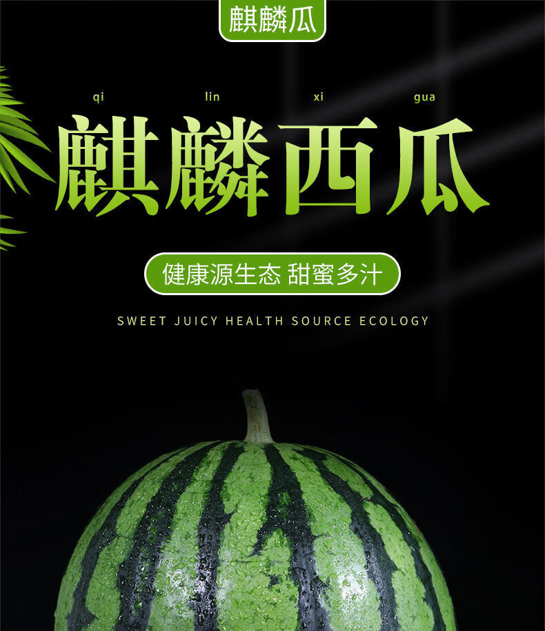 现摘超甜麒麟西瓜8424无籽西瓜水果新鲜应季水果西瓜批发整箱时令头茬