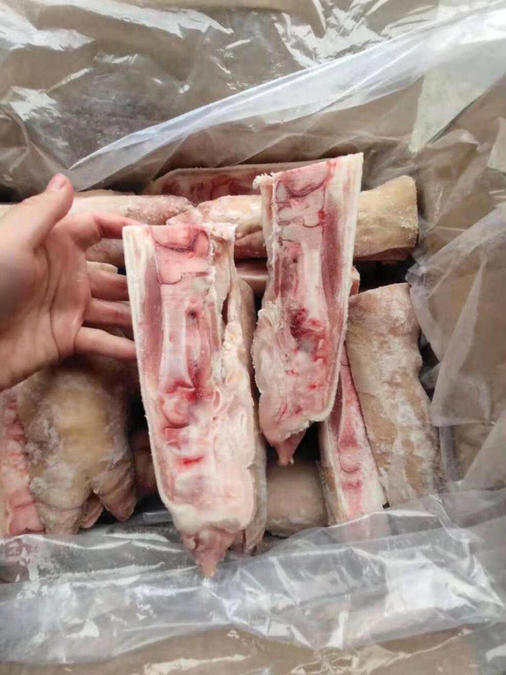 新鲜冷冻分开猪蹄猪脚劈半猪蹄饭店卤菜红烧食材净重17斤30片左右