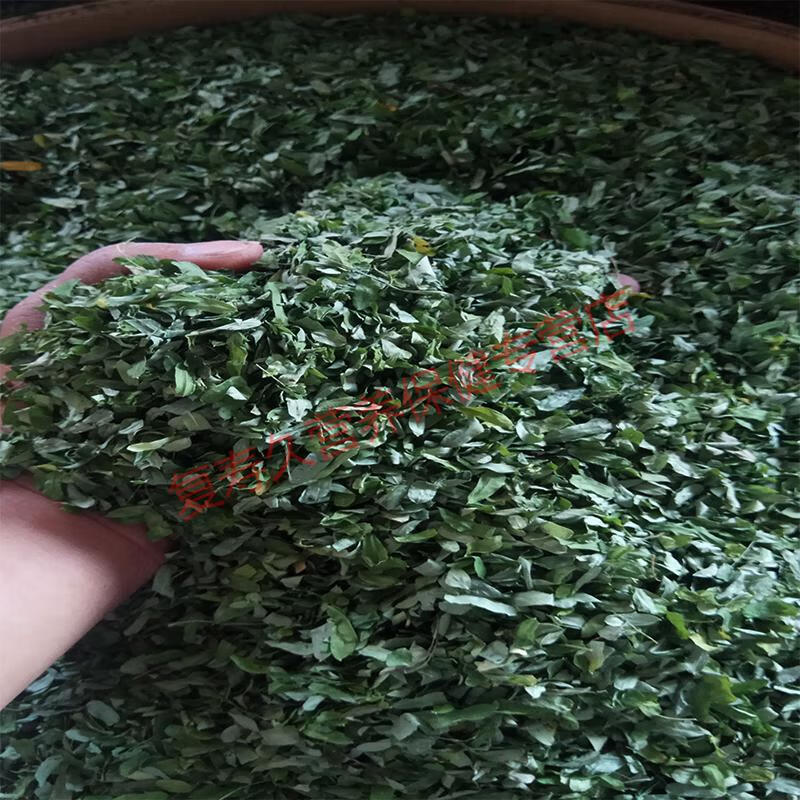 康中尊廣西野生雞骨草葉涼茶雞骨草茶相思葉藤茶花草茶250g500g泡茶