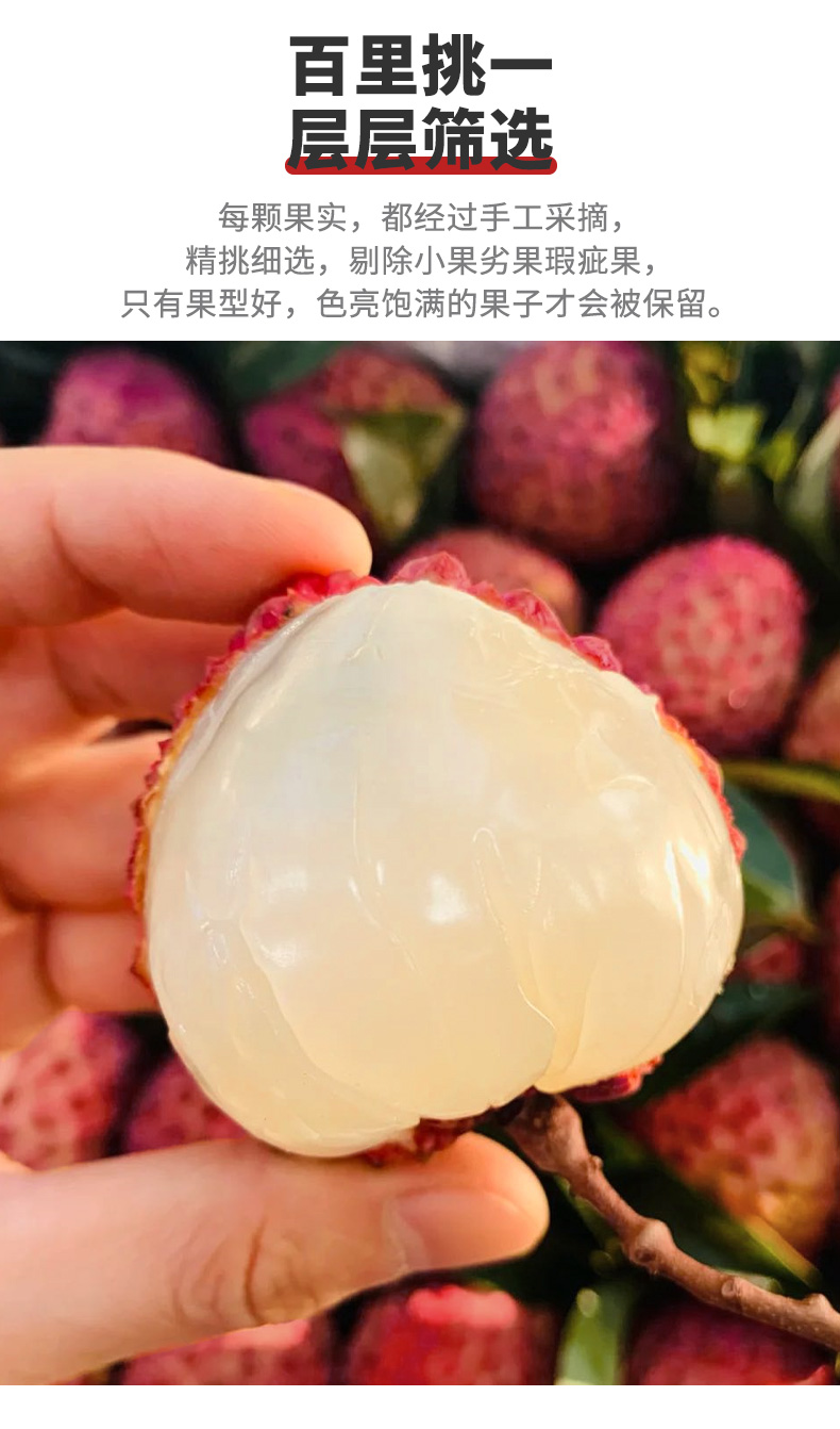 荔枝王蜜丁香荔枝新鲜水果孕妇水果礼盒装 3斤 中果【图片 价格 品牌