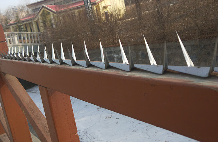 防爬刺钉热镀锌围墙别墅防盗刺铁刺墙头不锈钢防爬钢刺围栏刺 不锈钢