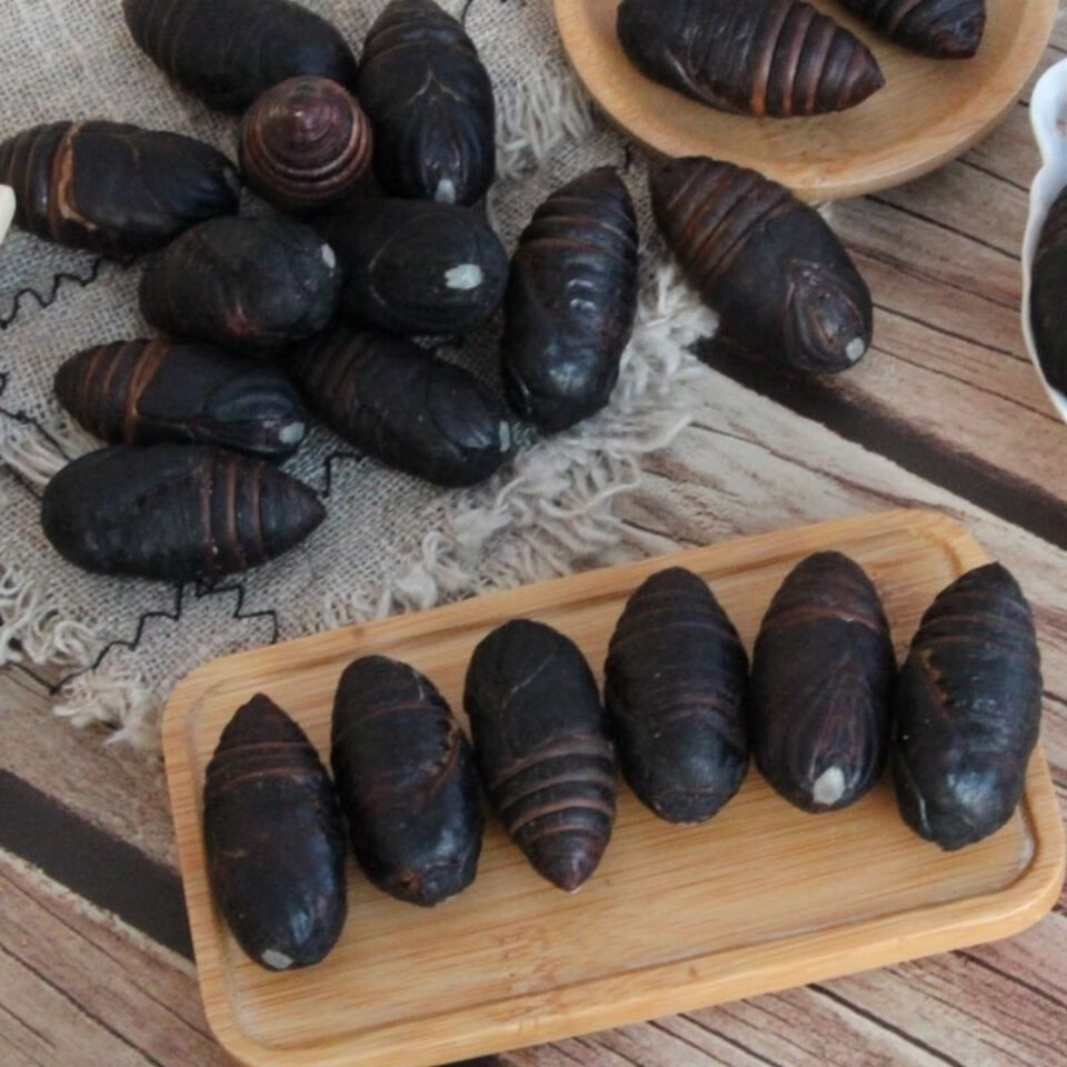 东北特产辽宁丹东柞蚕蛹新鲜活2021年黑蚕蛹鲜活茧蛹蝉蛹 3斤【图片