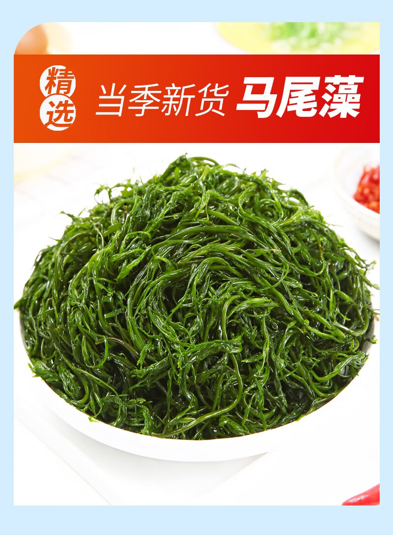 海草鞭炮笋250g4袋盐渍马尾藻海藻菜羊栖菜海带海菜火锅食材250克4袋