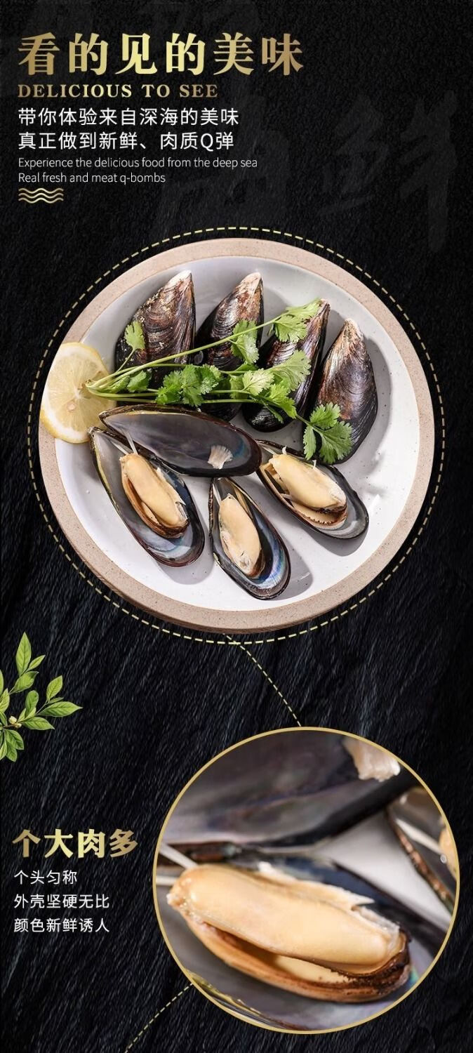 当天海虹新鲜活青口贝贻贝类水产现捕发10斤