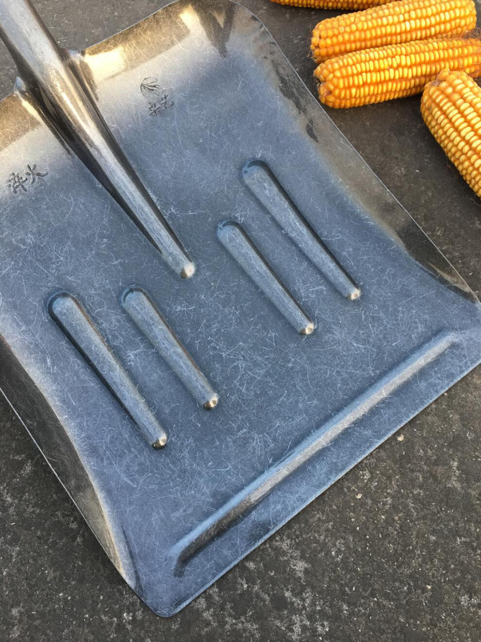 大号锹全钢特大号煤锹加厚锰钢平口大铲清理粪便工具铲粮食簸箕锹