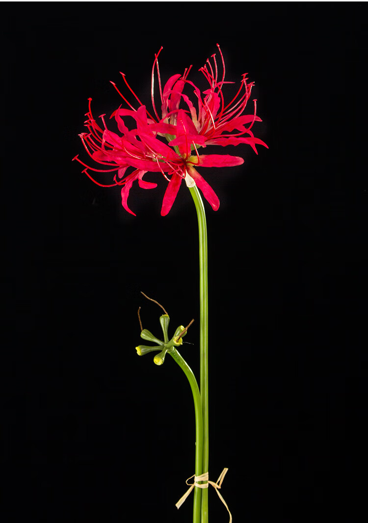 彼岸花仿真花假花曼珠沙華插花束古風漢服手拿裝飾花拍攝道具曇花全桔