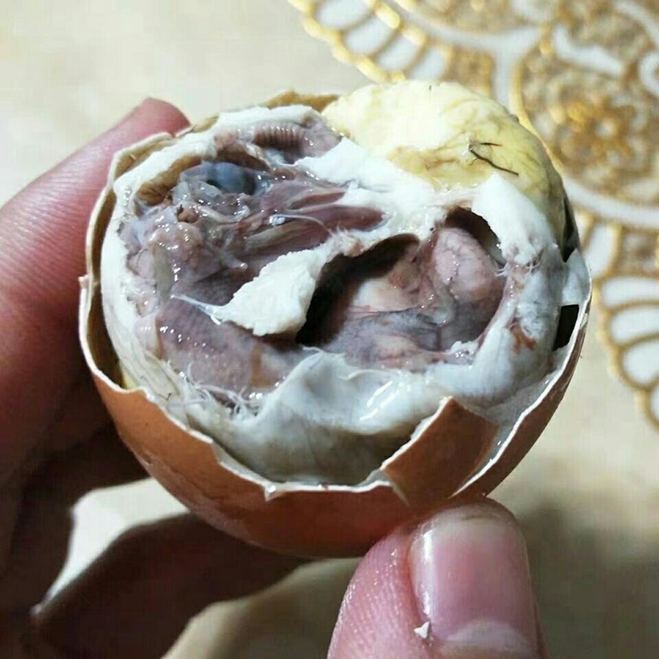 活珠子40枚鸡蛋胚新鲜食材山东农家烧烤实蛋食材喜蛋 40枚活珠子