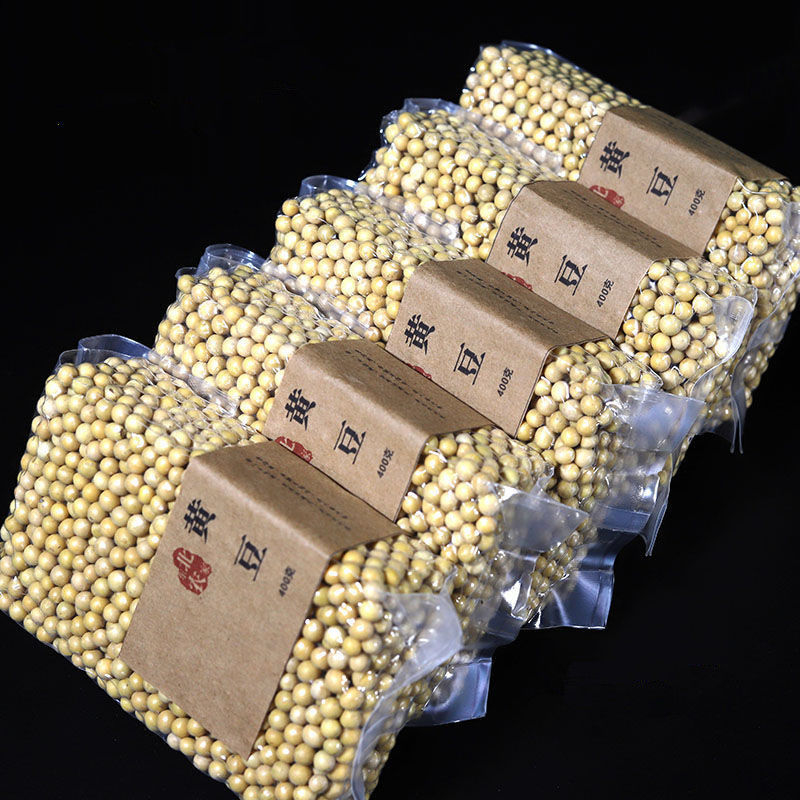 2022年东北黄豆生大豆做豆浆真空包装豆类农家笨黄豆农家黄豆400g3