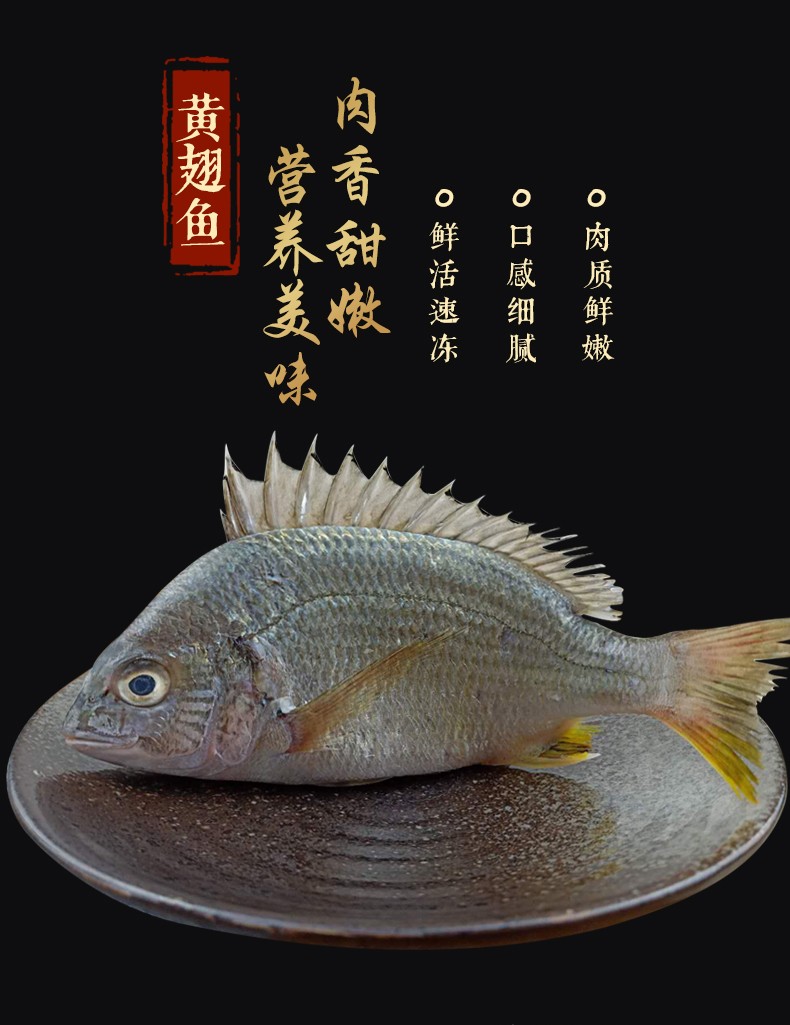 鲷鱼野生海捕黄雕鱼 鱼类 dd愚港冰鲜水产海鲜 1斤(2-3条)【图片 价格