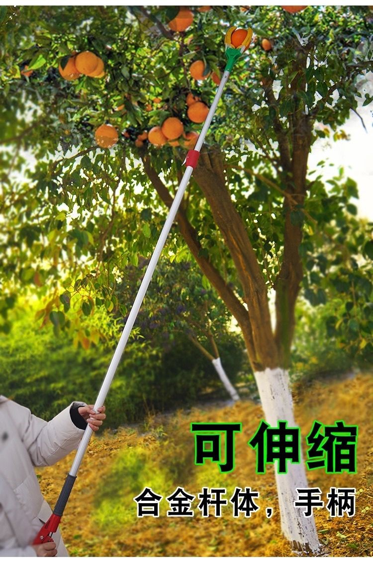 新型三爪摘果神器 新疆高空摘果神器采摘器三爪摘柿子芒果苹果梨采果