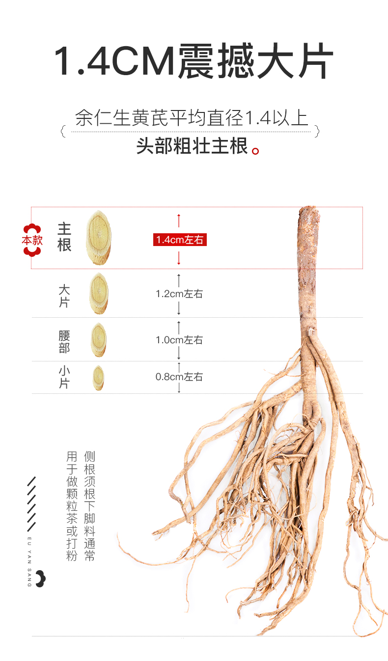 余仁生黄芪片甘肃岷县北芪中药材搭当归党参组合野生特级粉