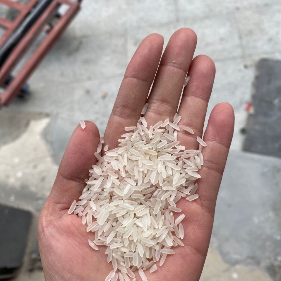 仙桃市仙桃香米20斤仙桃香米湖北香米家庭食米广东省