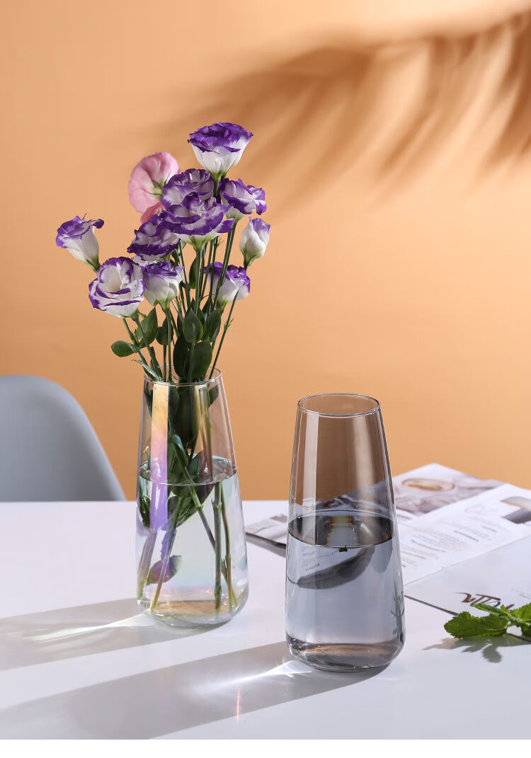 玻璃花瓶透明插花水养富贵竹北欧ins简约现代电镀幻彩绿萝客餐厅 6822