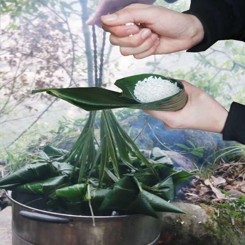 【京喜推荐】【端午传统美食】新鲜粽子叶现摘箬叶包粽子叶子真空包装