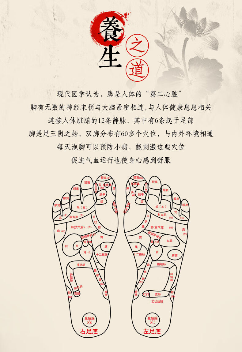 禧斯顿香柏木泡脚桶木桶家用洗脚盆木盆加厚足浴桶足浴盆按摩木桶泡脚