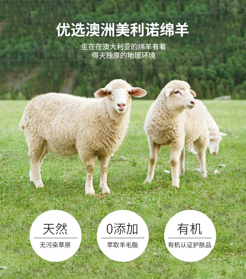 澳芝曼（G＆M） 【澳洲原装进口】澳洲保湿面霜绵羊油 绵羊脂维生素E霜乳澳芝漫滋润面霜婴儿可用 保湿霜250g*2瓶