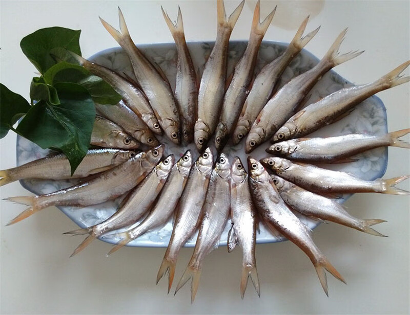 【顺丰现货】大菜园 小白条鱼 刁子鱼 新鲜刁子鱼 餐子鱼 小花餐 小