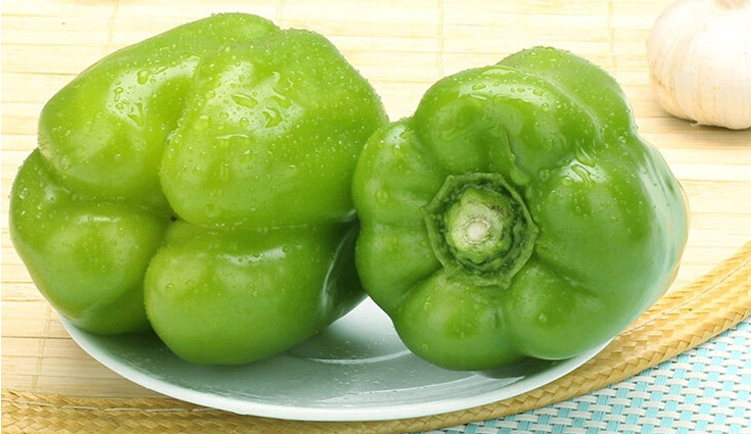 新鲜圆椒甜椒彩青圆椒青椒现摘现发农家时令新鲜蔬菜35斤装2500g