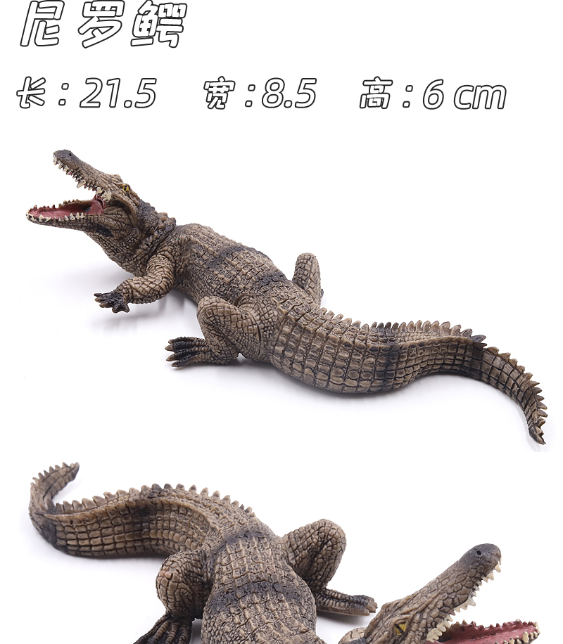 实心仿真鳄鱼模型尼罗鳄扬子鳄野猪鳄短吻鳄动物玩具帝鳄动物园非洲