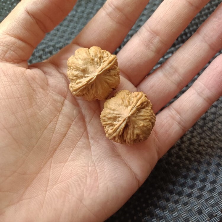 鲤梨 女小尺寸手捻文玩核桃精品粗筋野生迷你八棱元宝秋子蛤蟆狮子头