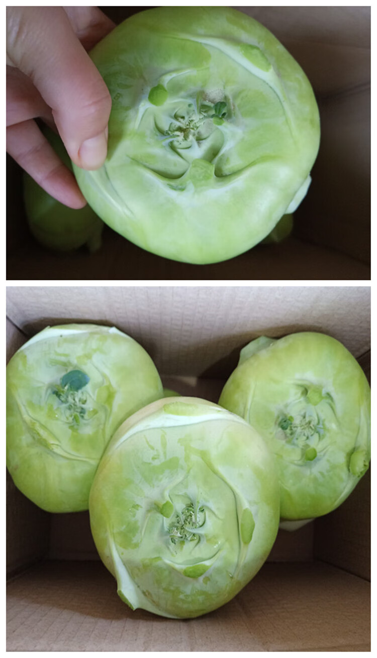 jd物流农家种植菜头新鲜芥蓝头香炉菜大头菜腌菜9斤