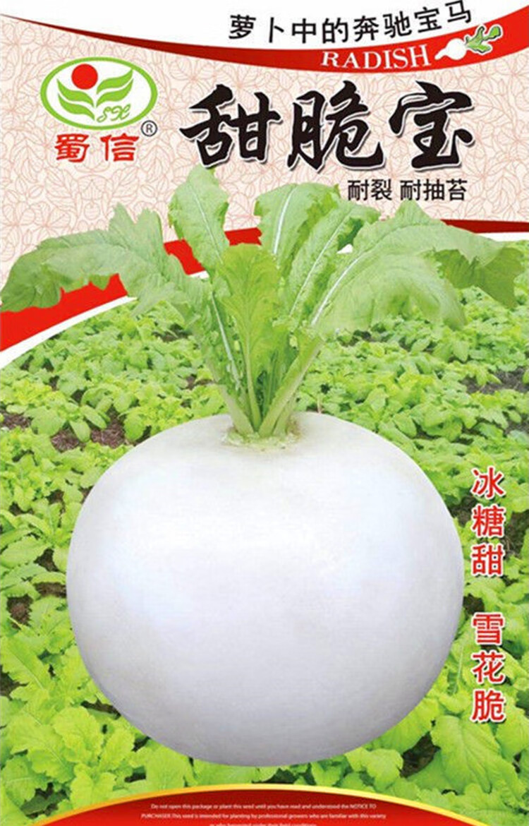 四川春不老萝卜种子水晶圆白萝卜种籽秋冬季农家田园蔬菜种孑水晶糖罐
