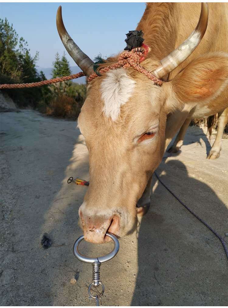 牛鼻环牛鼻圈打穿孔穿孔穿牛鼻子牵引扣钻栓牛用养殖设备牛鼻钳子
