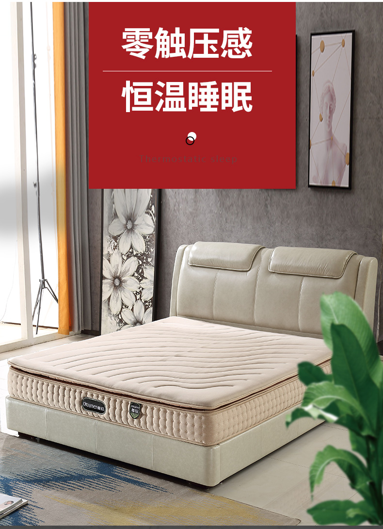 水床垫电加热尊玛恒温水床垫家用水床双人床加热网红电加热床垫酒店