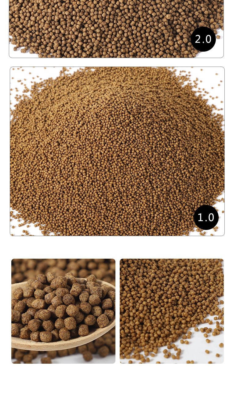 金鱼饲料观赏鱼锦鲤饲料金鱼鱼食颗粒通用鱼粮大中小颗粒浮水饲料10小