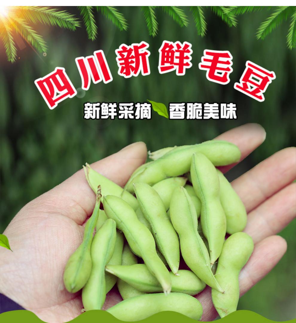 四川农家新鲜去壳毛豆仁现摘现发现剥当季新鲜蔬菜