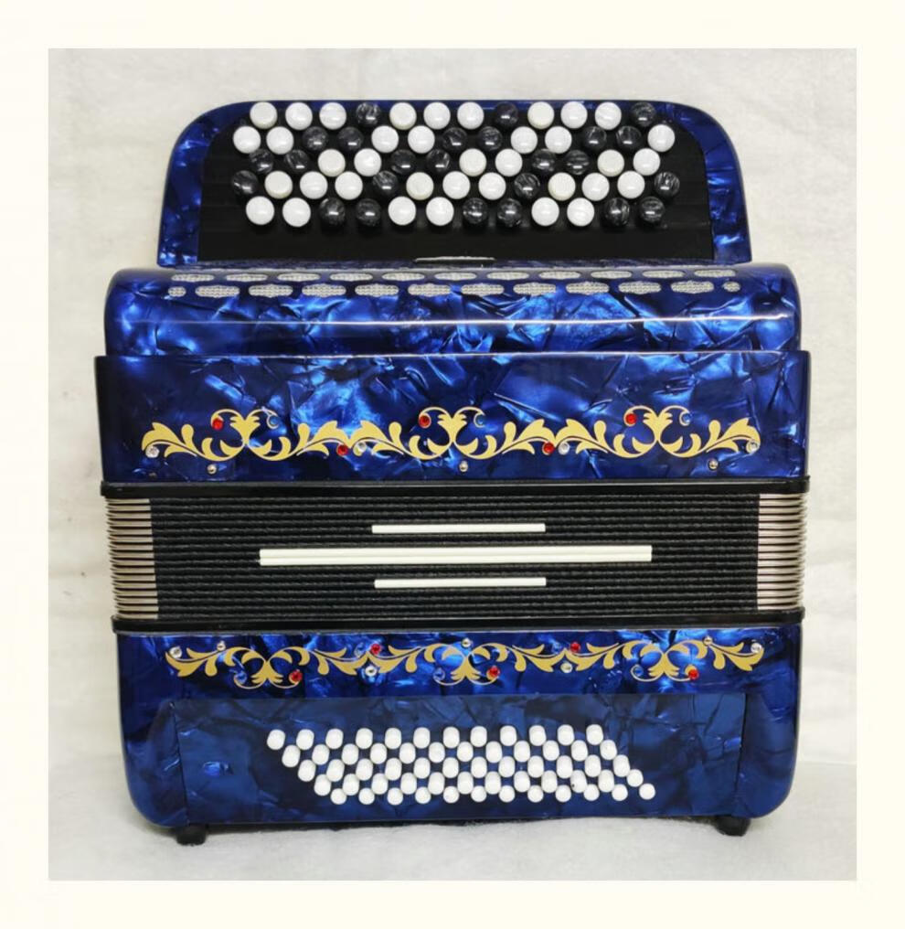 爱迪牌手风琴 8/60/80/96/120贝司b/c轻型巴扬手风琴键钮式琴轻体琴