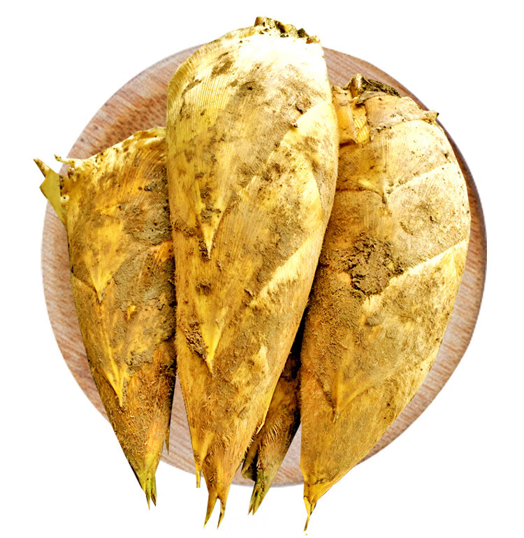 现货四川野生新鲜冬笋现挖黄泥大冬笋毛竹笋春笋农家笋5斤 1500g