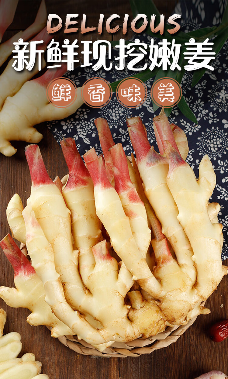 嫩姜嫩生姜子姜鲜姜腌制仔红芽现挖山东过年送礼送
