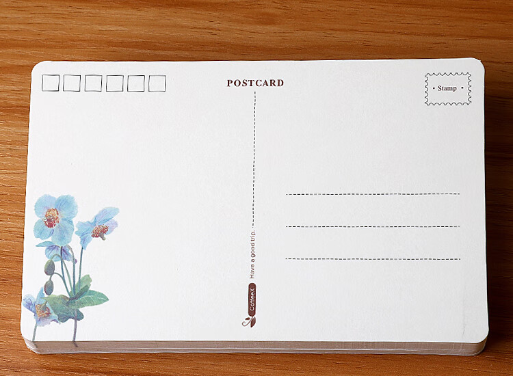 天高(twingo) 空白记单词卡 diy手绘明信卡片 荷兰白卡纸 可邮寄 蝶恋