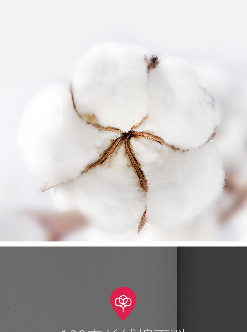 100支新疆长绒棉酒店床品轻奢床单床笠款被套全棉纯棉床上四件套4古丽