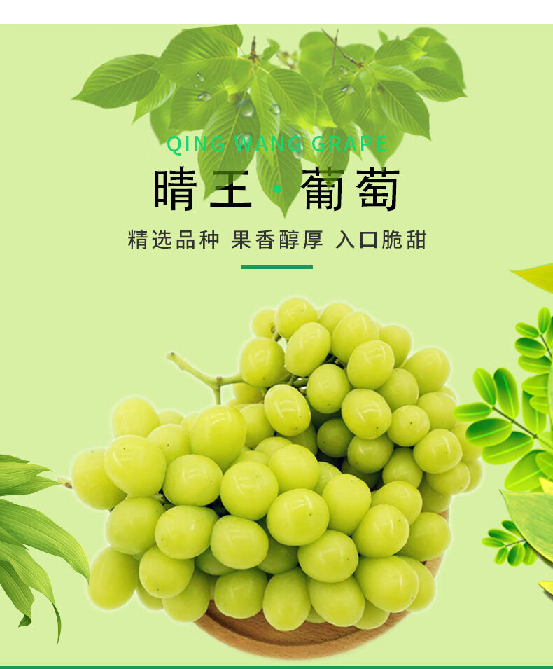 香甜皮薄肉厚香气扑鼻汁水充盈晴王葡萄阳光玫瑰1500g/箱 1500g【图片