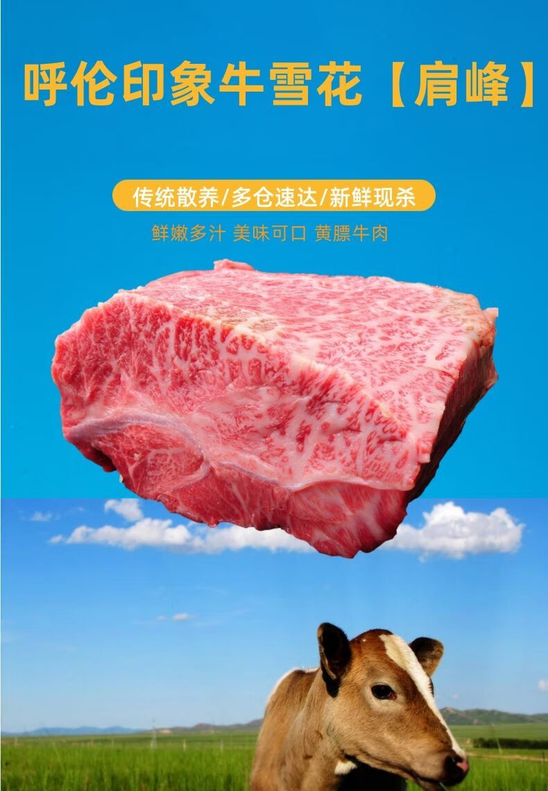 五斤雪花牛肉生鲜国产新鲜现杀牛肩峰部位烤肉寿喜锅 整块【图片 价格