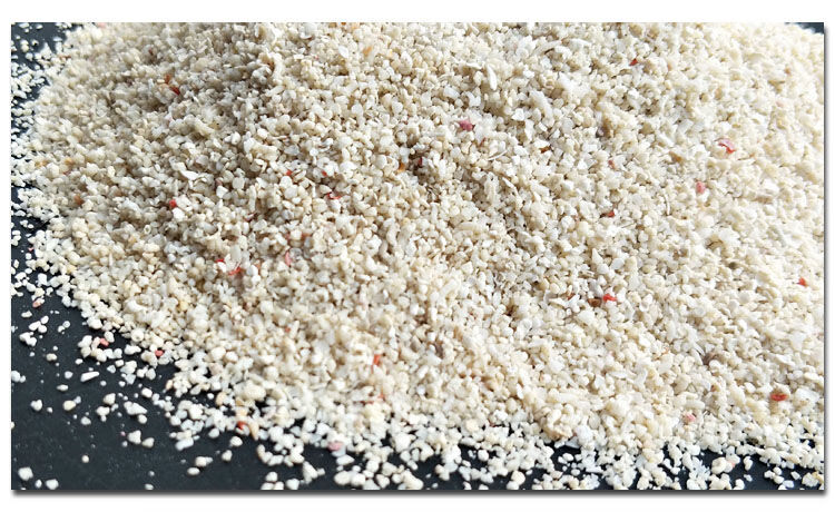 京选推荐天然鱼缸底砂菲律宾沙贝壳珊瑚砂海沙海缸造景