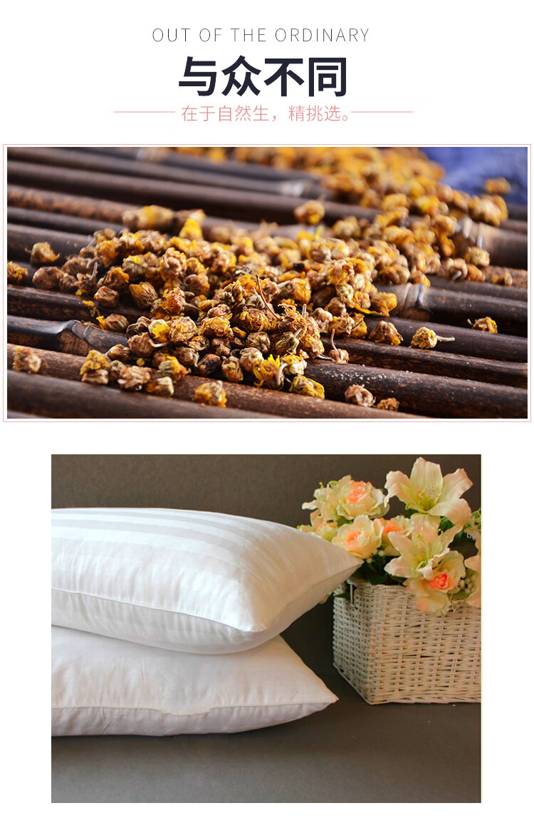 福野菊花枕头 野菊花枕头胎菊枕头枕头枕头填充物柔软枕头 白色3枕套 