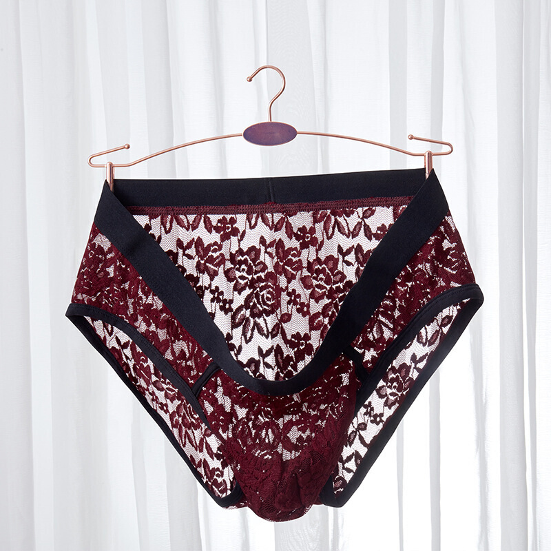 黛美儿夏男士三角裤男士三角内裤低腰u凸性感透明透气蕾丝内裤欧码