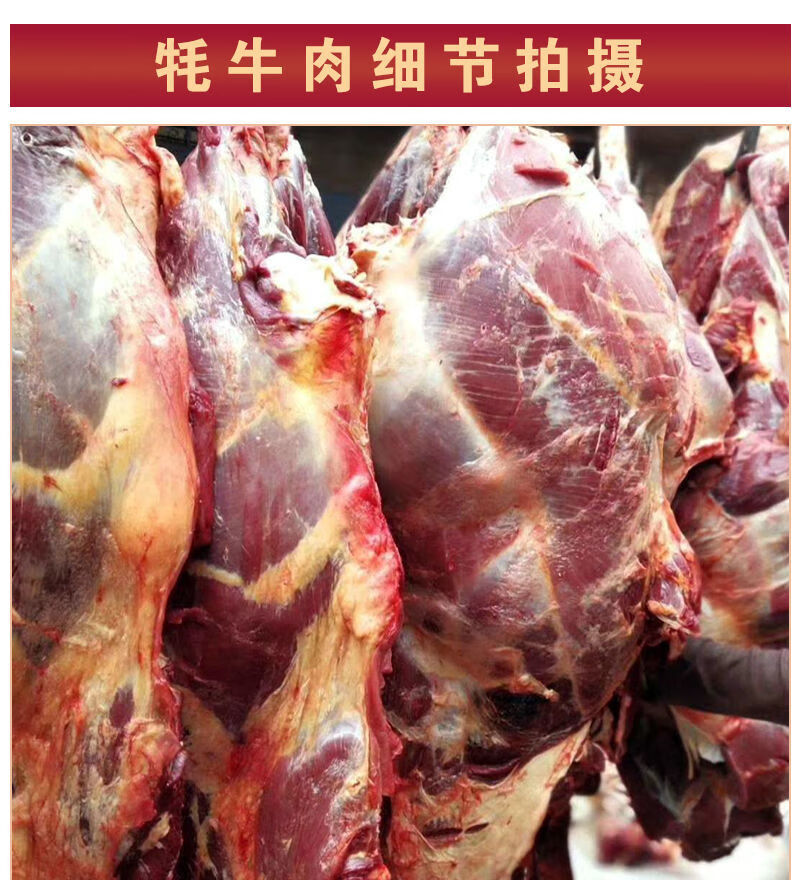 青海祁连山正宗牦牛肉新鲜每日现宰牛腿肉牛前腿肉牛后腿肉批发牦牛
