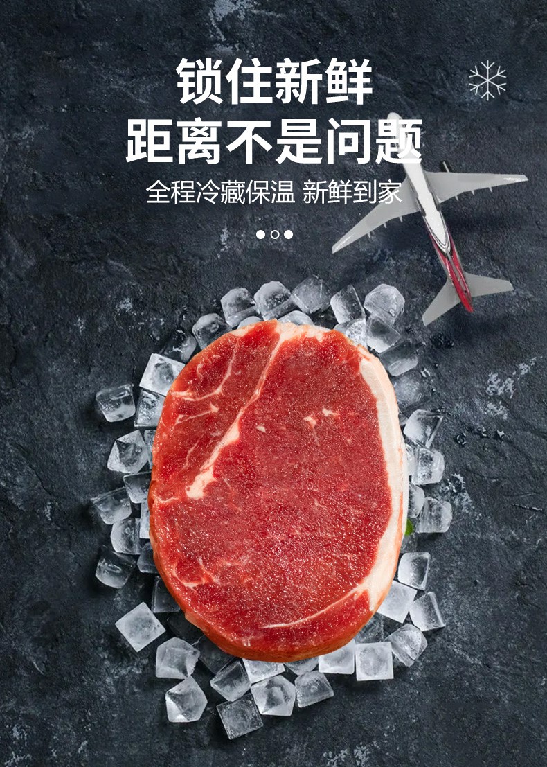 海洋演义牛排 美味即享整切西冷牛排130g包6包 美味即享 西冷牛排130g