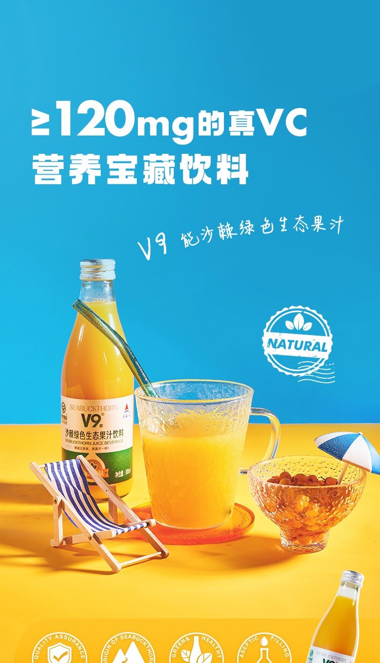 宇航人沙棘原浆300ml12瓶宇航人v9沙棘汁原浆生态果汁绿色食品鲜果